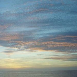 Meet your Posher, Peter